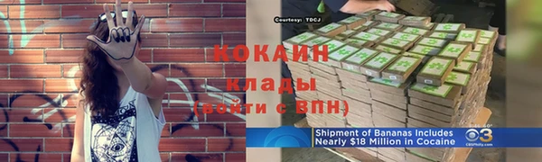 2c-b Каменка