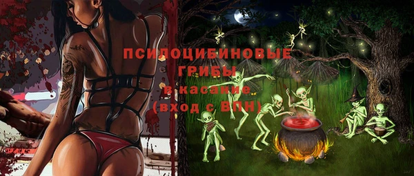 2c-b Каменка
