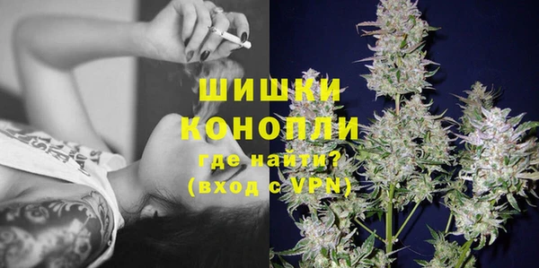 гидропоника Каменногорск