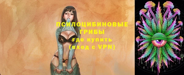 2c-b Каменка