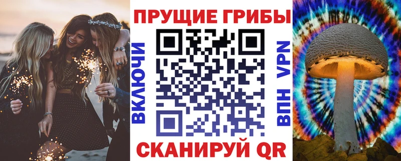 Галлюциногенные грибы MAGIC MUSHROOMS Болгар