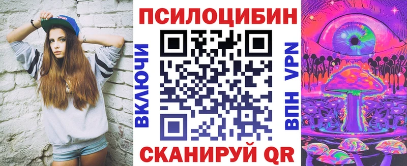 Купить где  Болгар  Псилоцибиновые грибы MAGIC MUSHROOMS 